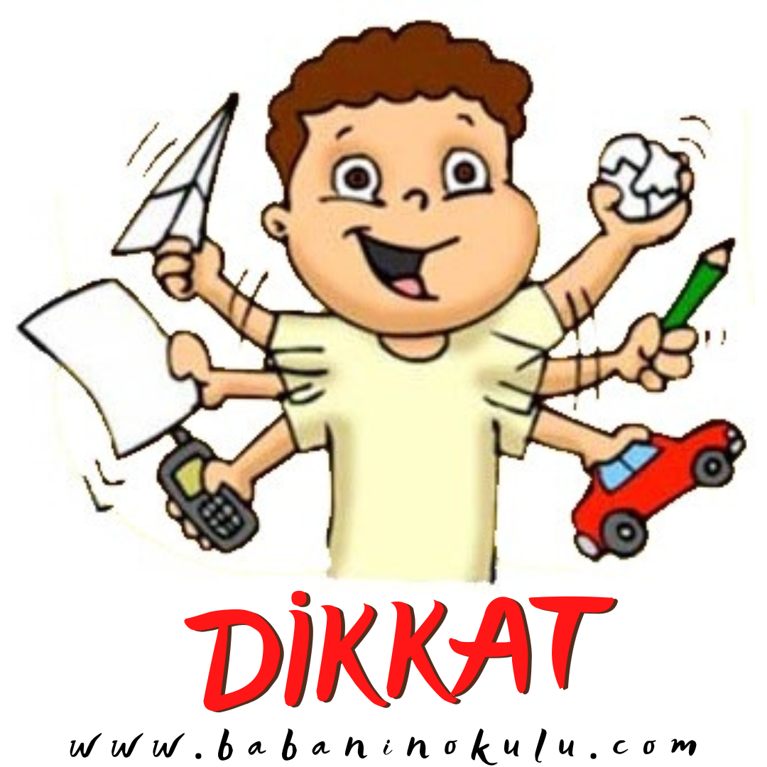 DİKKAT ÇALIŞMASI