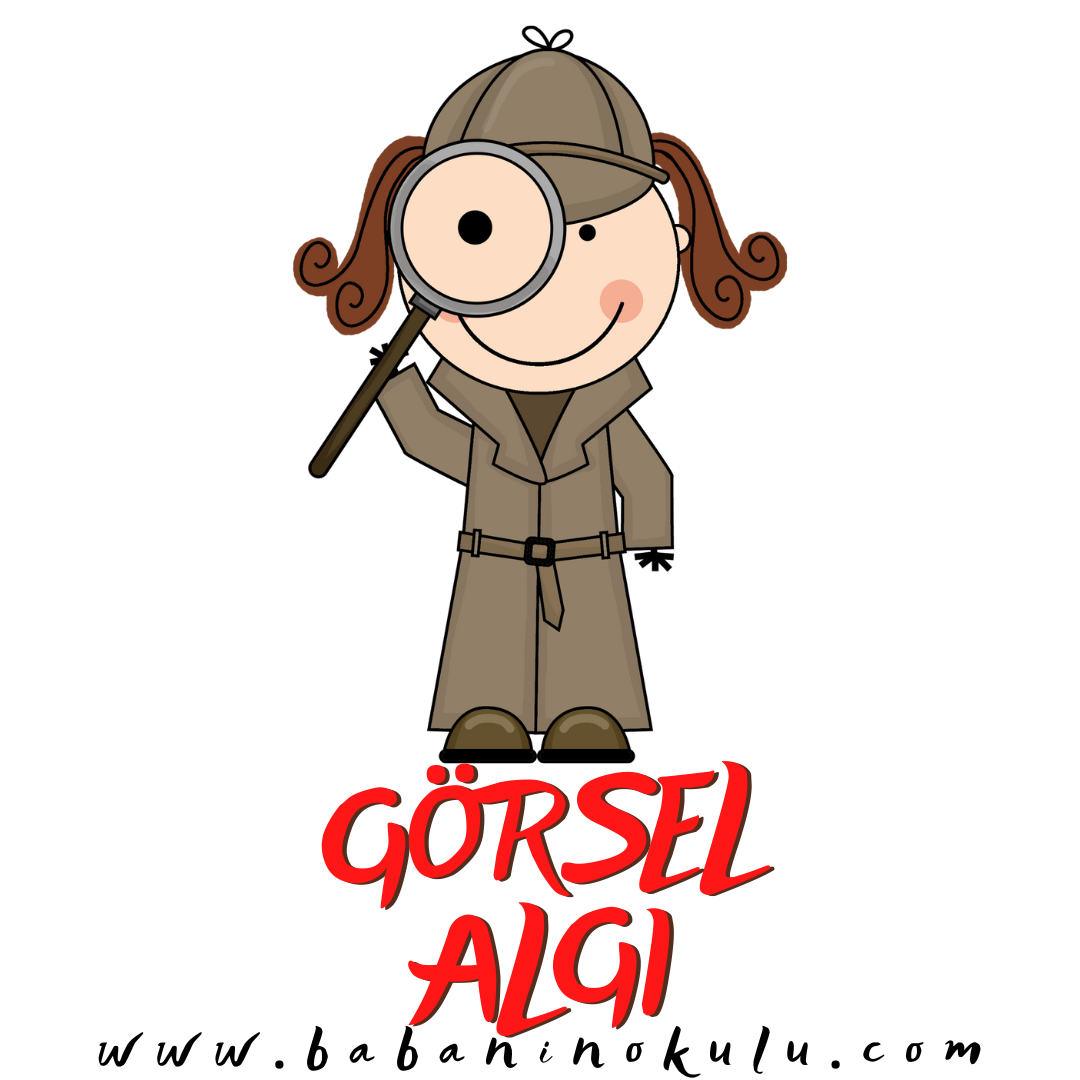 GÖRSEL ALGI