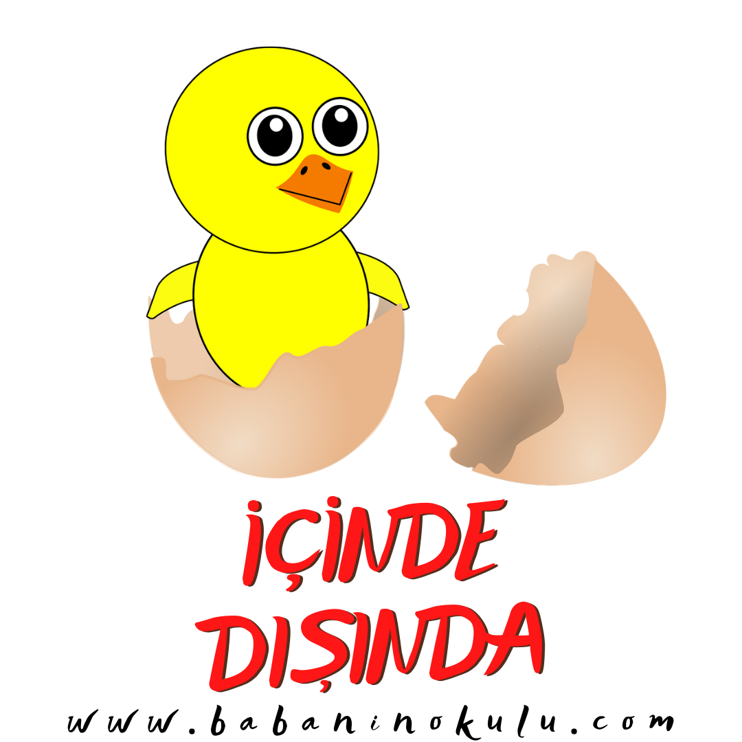 İÇİNDE-DIŞINDA