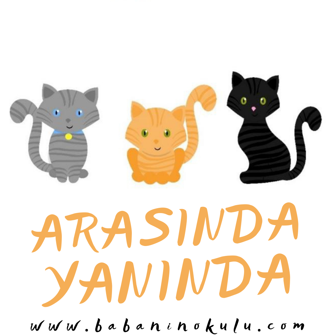 ARASINDA – YANINDA