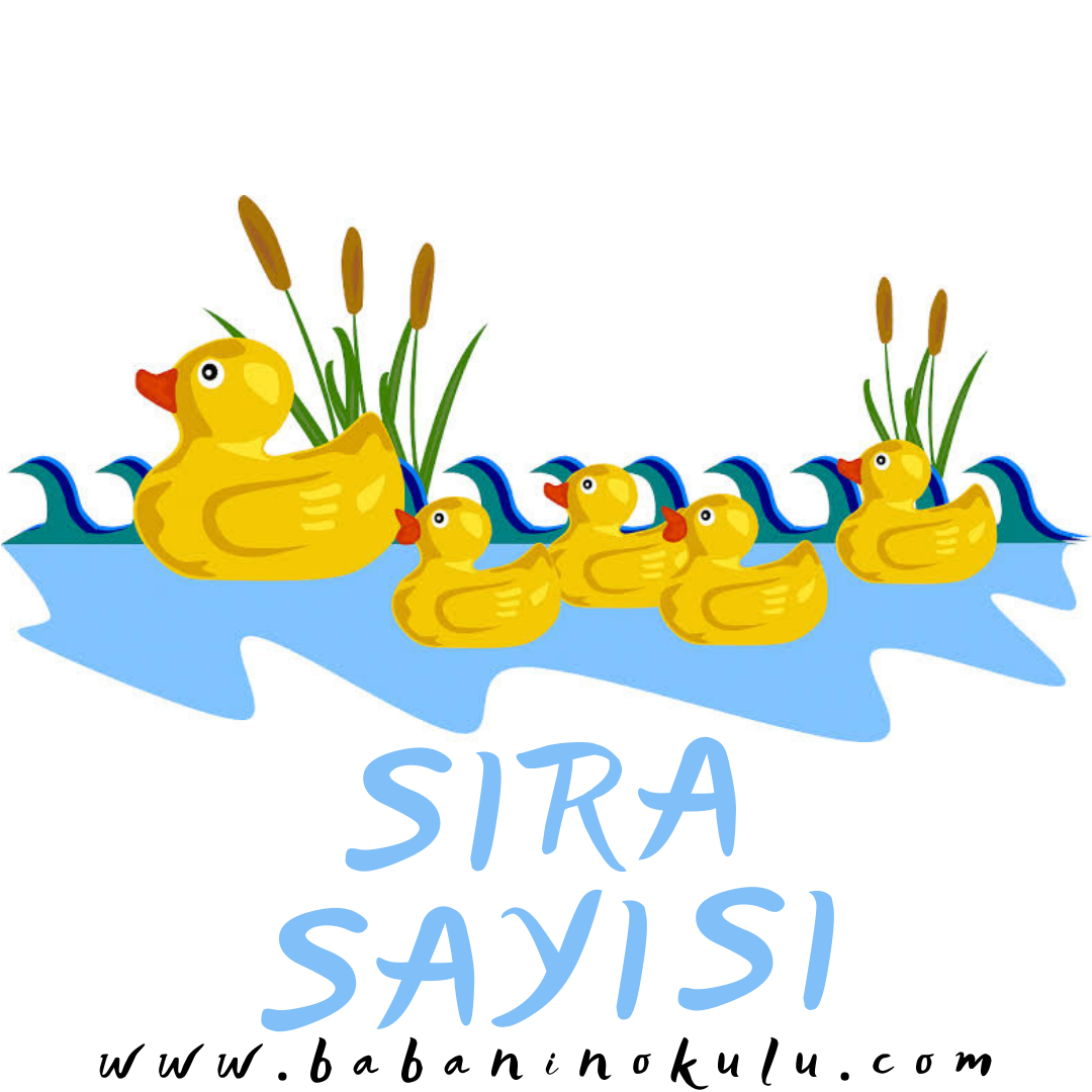 SIRA SAYISI