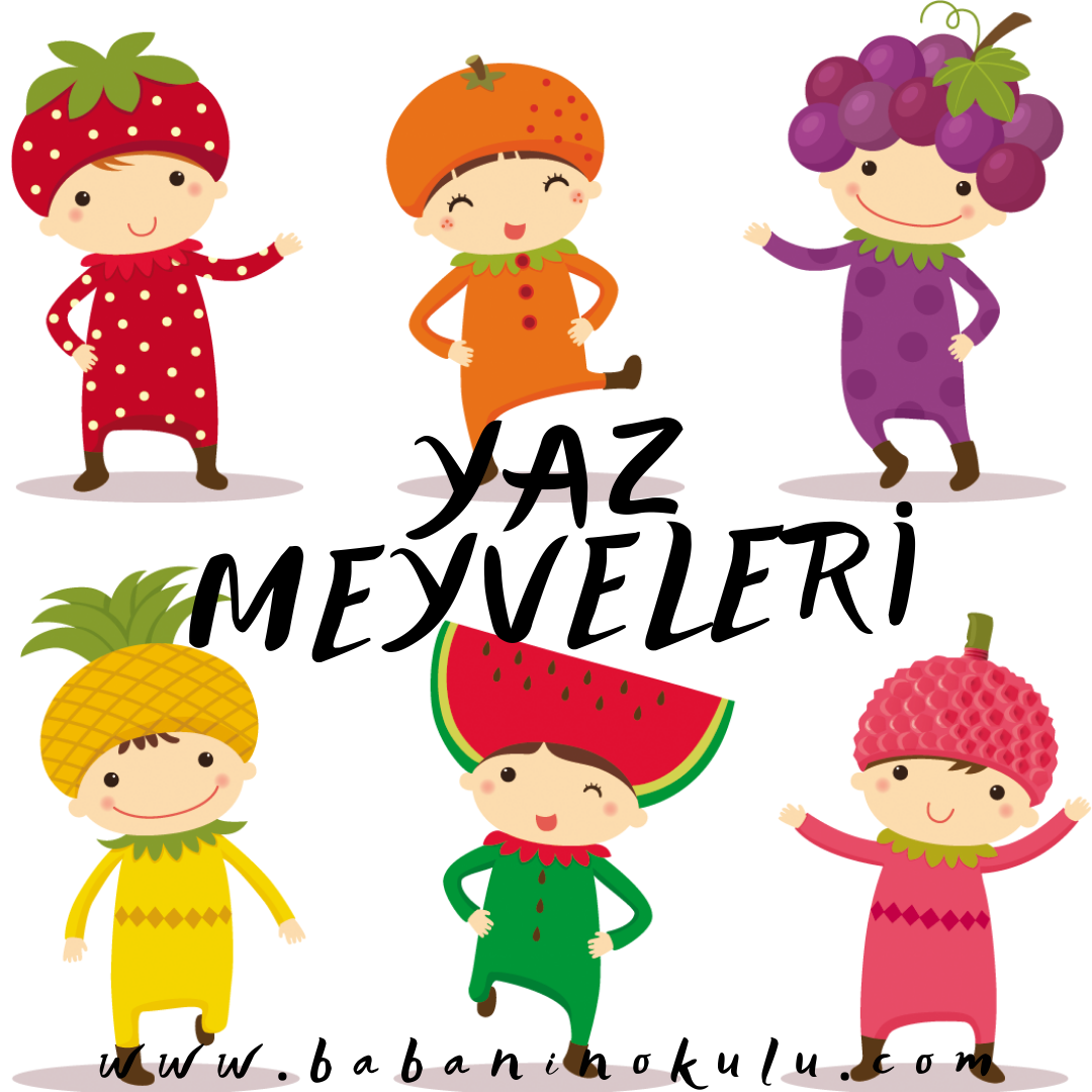 YAZ MEYVELERİ