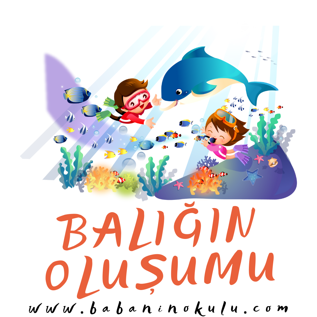 BALIĞIN OLUŞUMU
