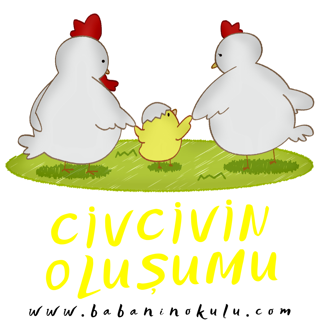 CİVCİVİN OLUŞUMU