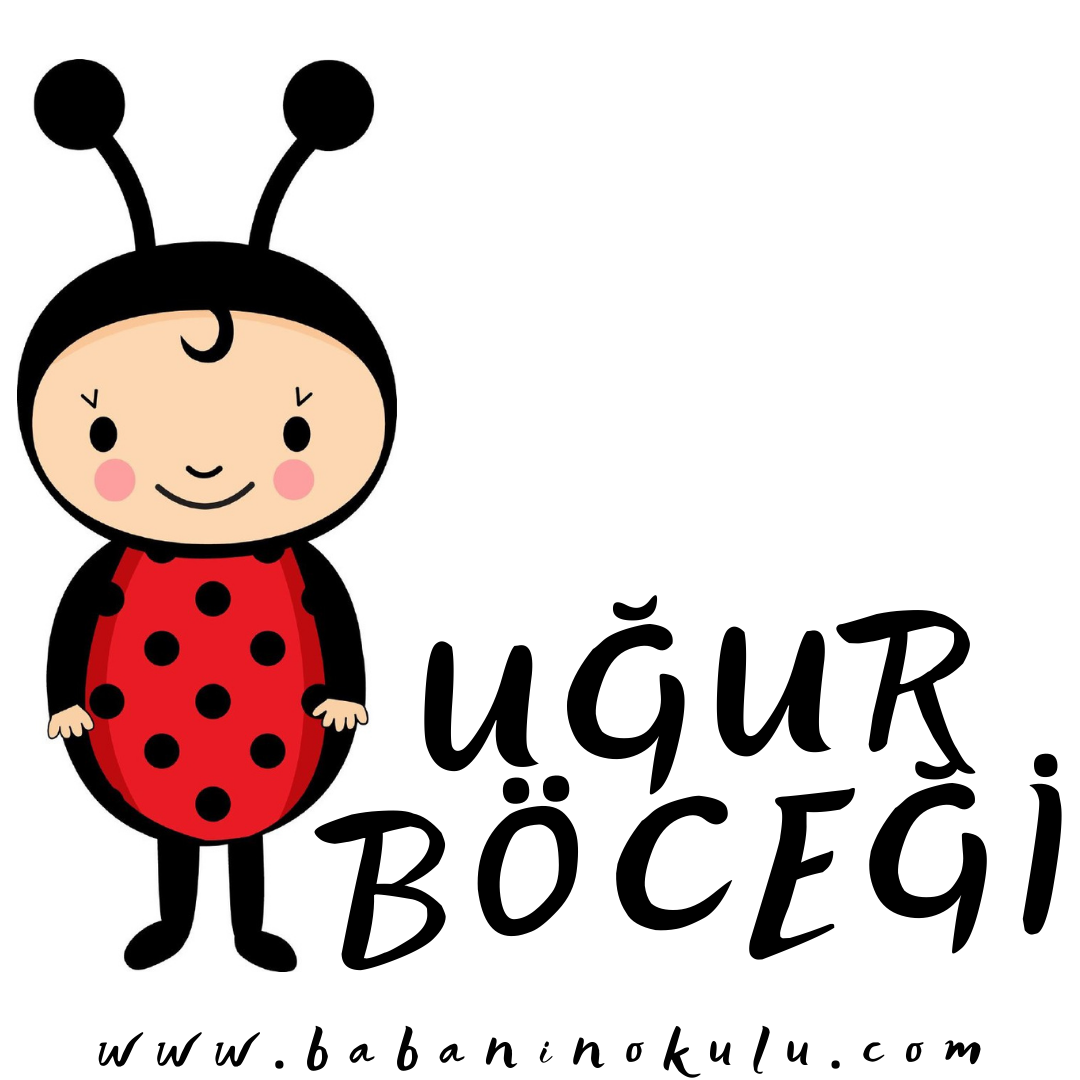 UĞUR BÖCEĞİNİN OLUŞUMU