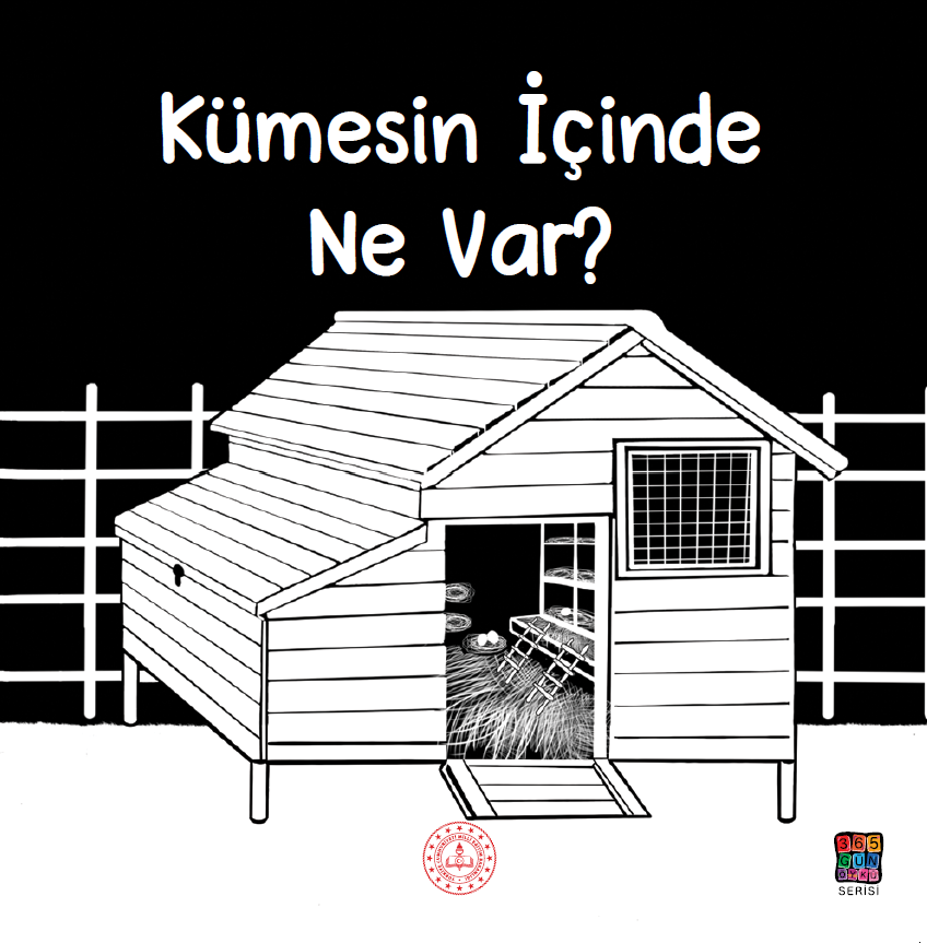KÜMESİN İÇİNDE NE VAR?