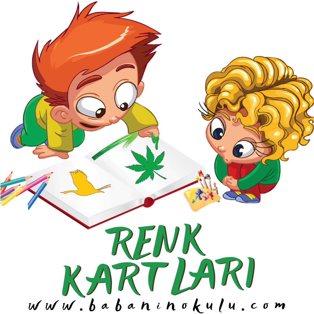 RENK KARTLARI
