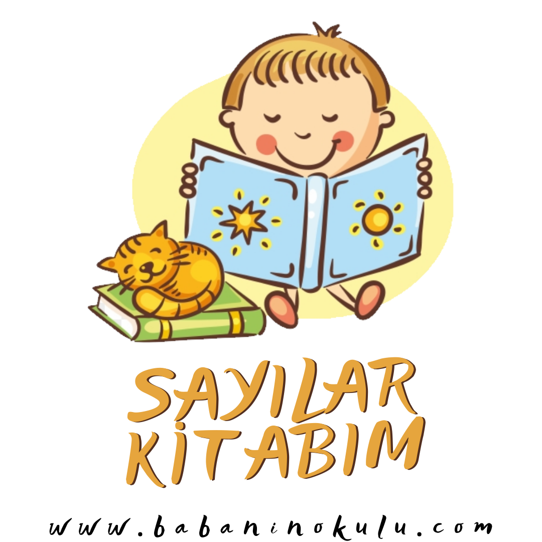 SAYILAR KİTABIM